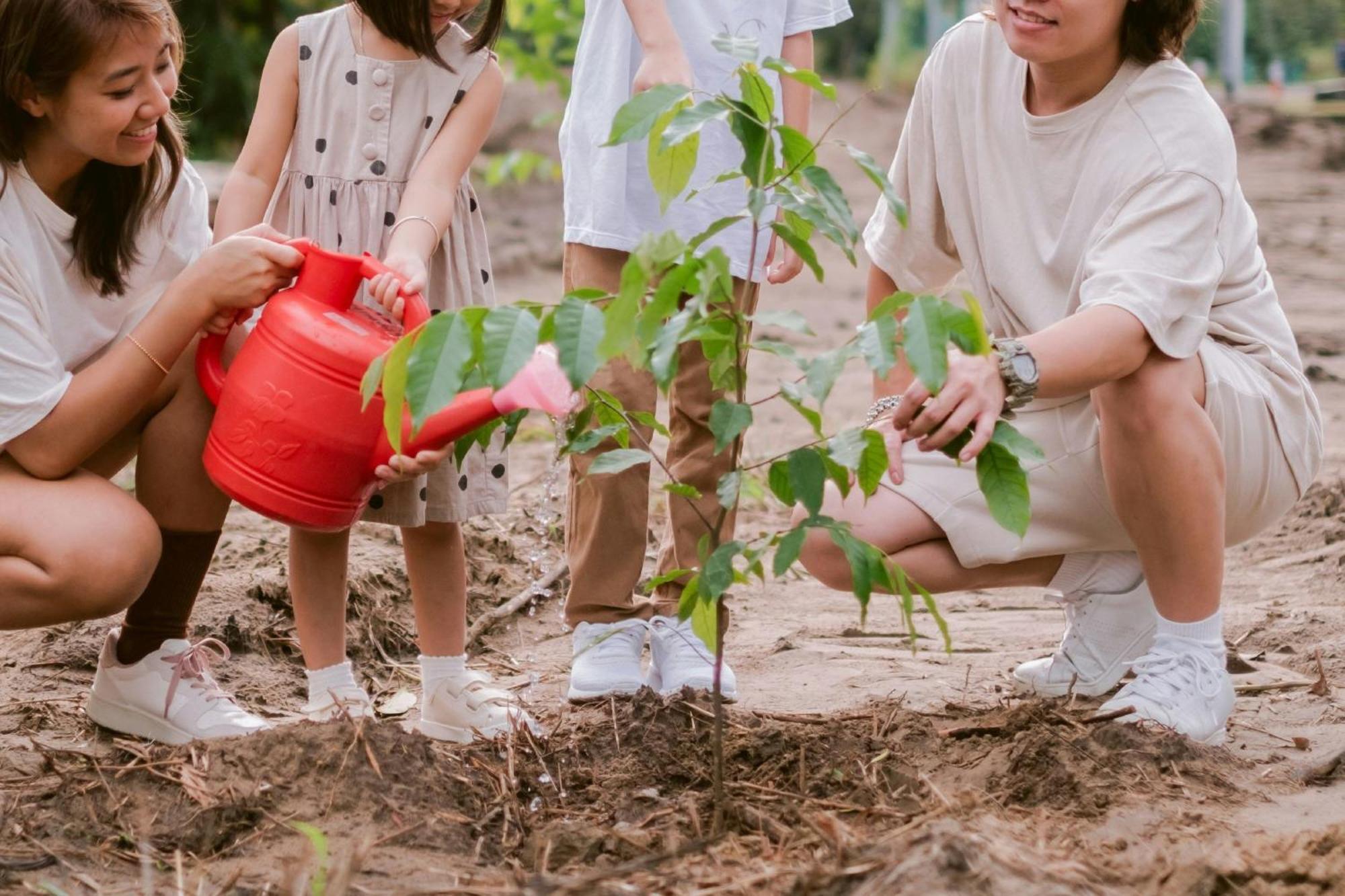 美里万豪度假酒店 米里 外观 照片 Children planting trees